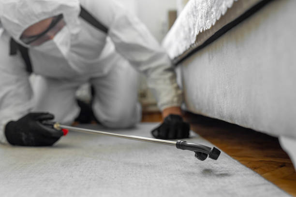 Professional Bed Bug Control technician working in Blanchard, LA